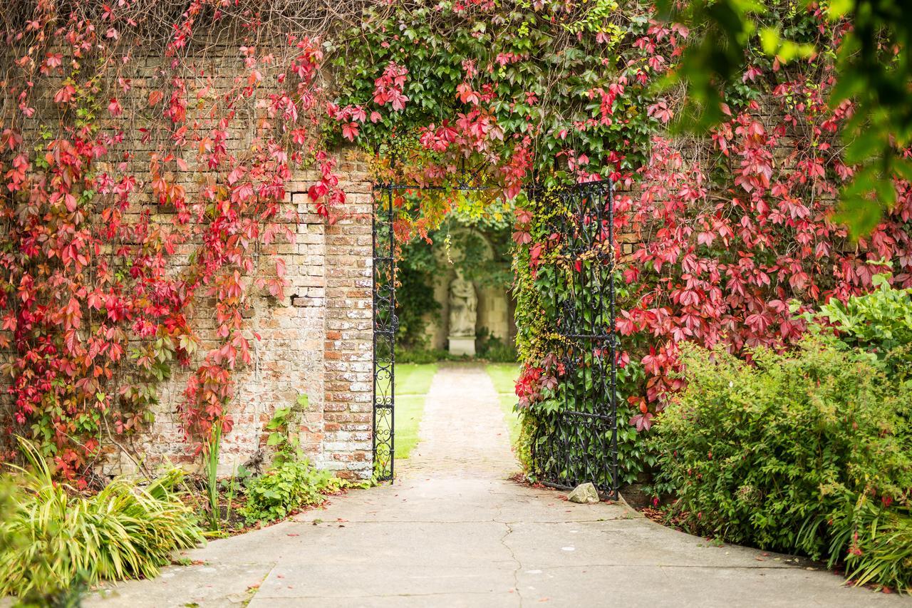 Eastwell Manor, Champneys Hotel & Spa Ashford  Exteriör bild